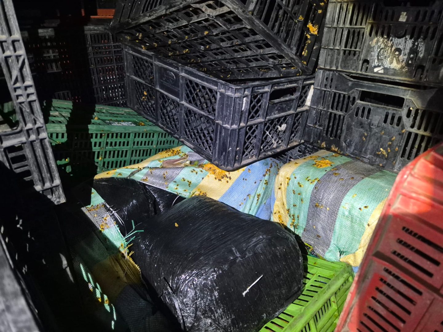 34106-1440x1080 ‎MAS DE MIL KILOS DE MARIHUANA FUERON INCAUTADOS‎